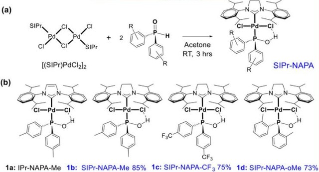Advanced Pd-NAPA Precatalysts for Broad-Scope Kumada–Tamao–Corriu Couplings of C