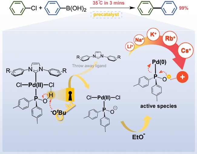 Graphical abstract: Reactivity-Tunable Palladium Precatalysts with Favorable Catalytic Properties in