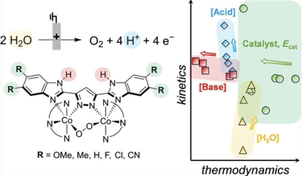 Overcoming the Tradeoff Between Reaction Rate and Overpotential in Dinuclear Cob