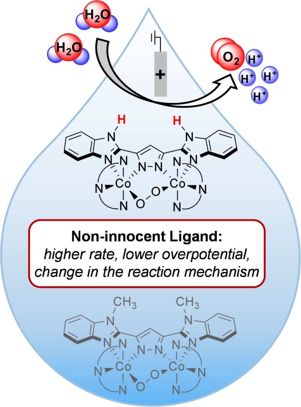 Graphical abstract: Dinuclear Cobalt Complexes for Homogeneous Water Oxidation: Tuning Rate and Over