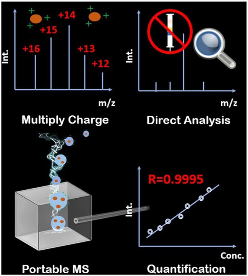Graphical abstract: Applications of vacuum MAI on a portable mass spectrometer