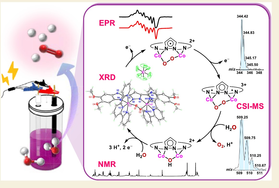 Manipulating the Rate and Overpotential for Electrochemical Water Oxidation: Mec