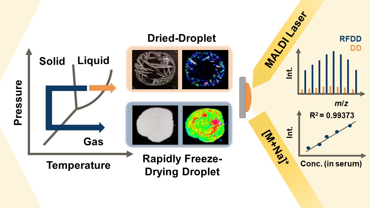 Advancing Carbohydrate Quantification in MALDI Mass Spectrometry by Rapidly Free